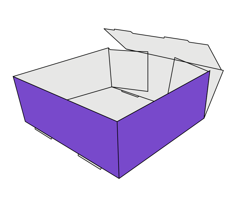 FOOT-LOCK-TRAY-01