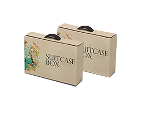 suitcase-boxes